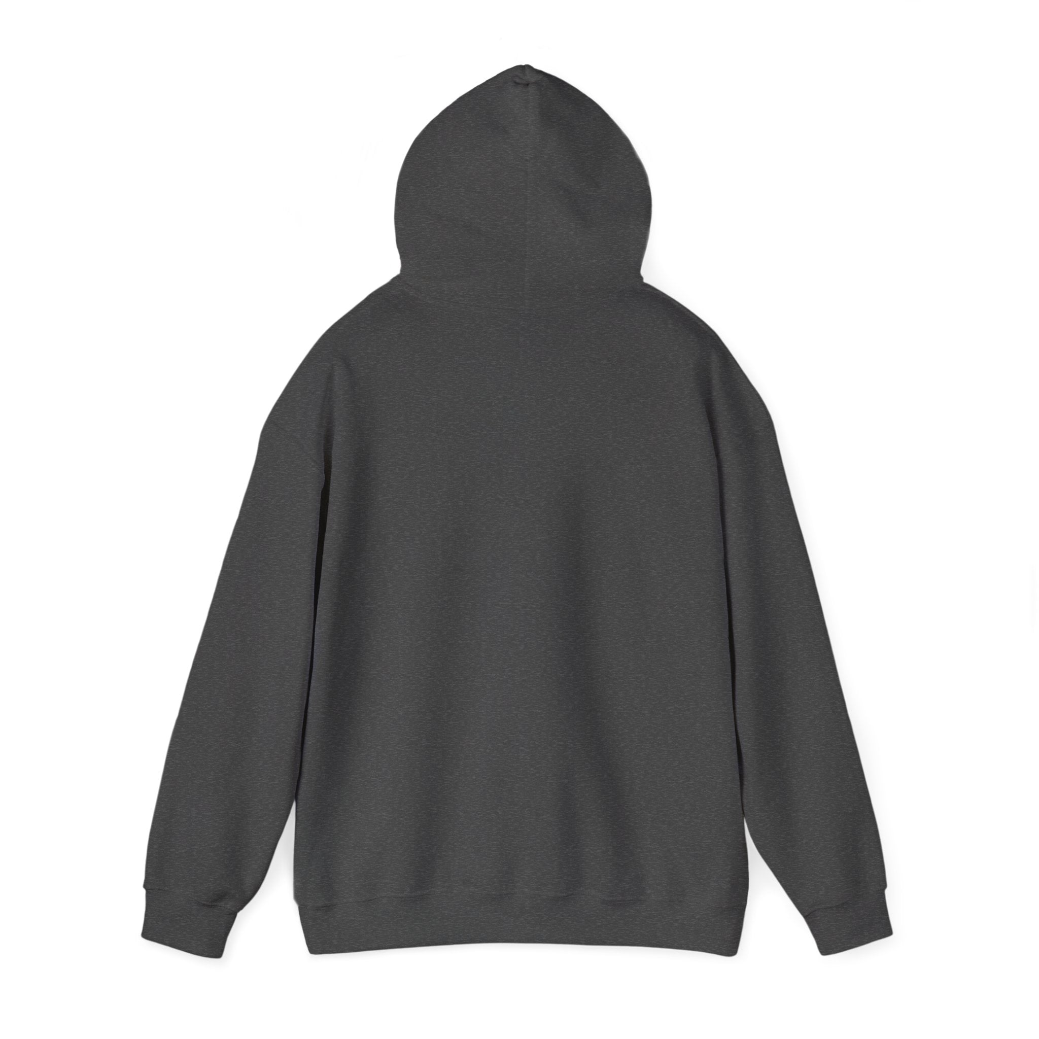 Body Upgrade Hoodie
