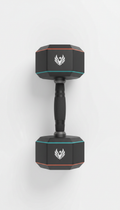 Matte Black Dumbbells with Logo
